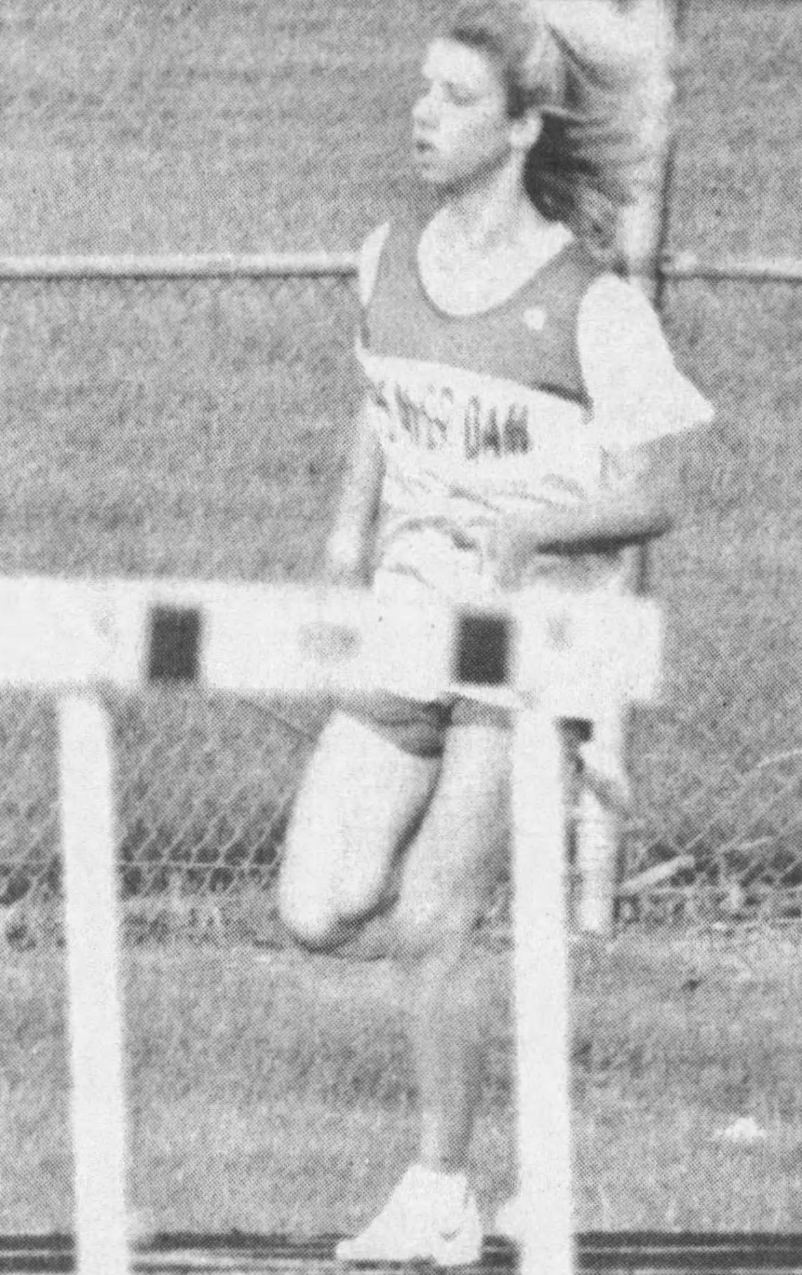 Sue Chitko